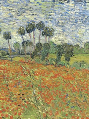 cover image of Biology of Plants